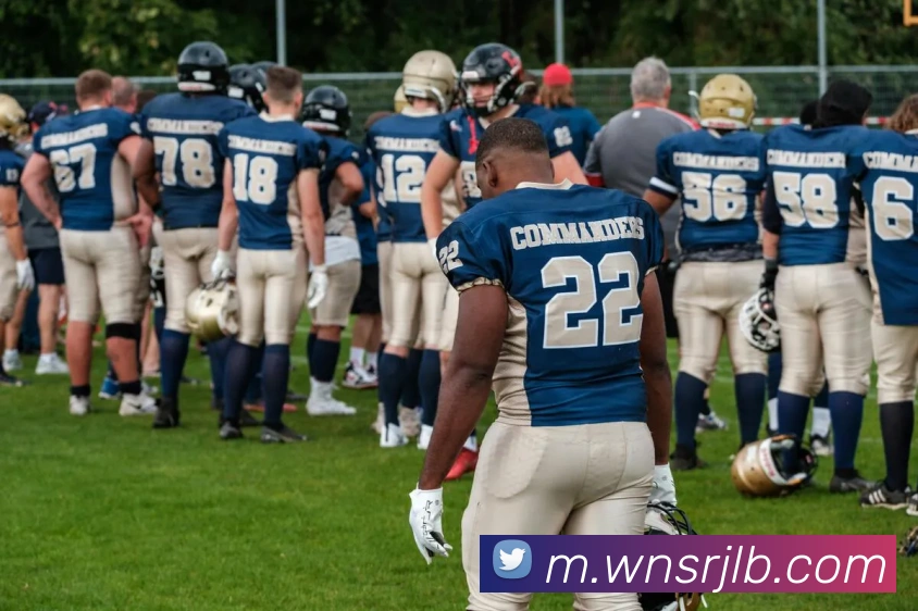 App Interface Preview